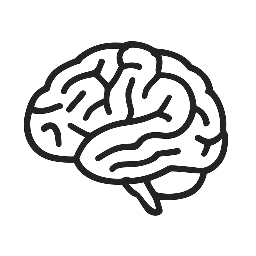 Conhecimento Neuro Pop Filosófico Literário